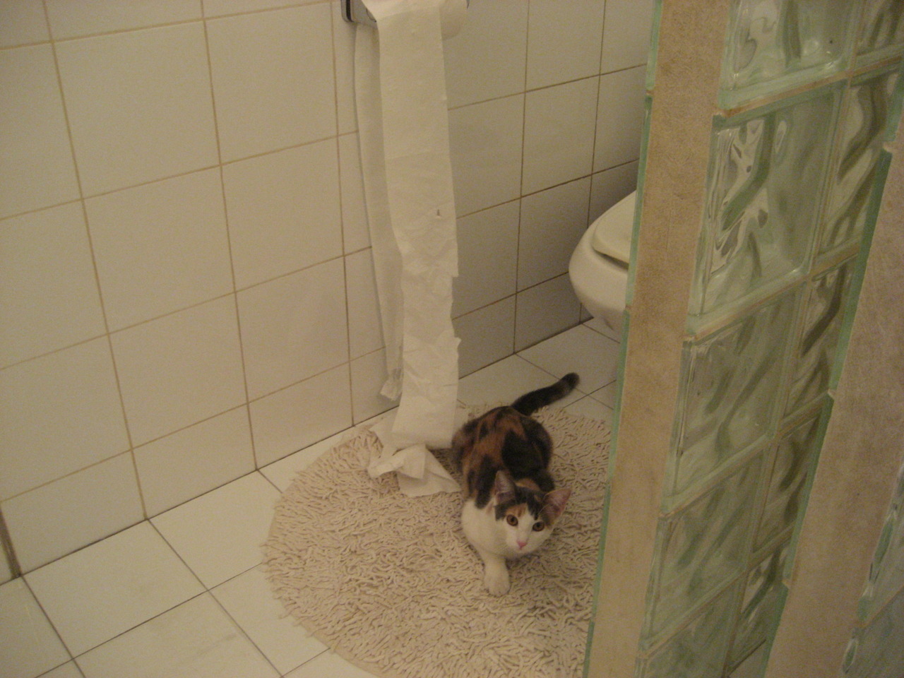 开云中国-“多场比赛精彩现已上线：哪场是你心中的经典？”，三场比赛