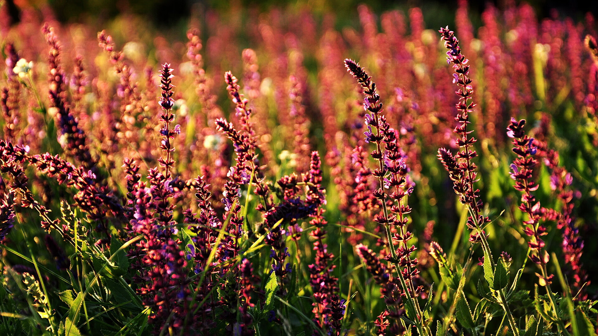 开云体育-北京冬奥会火热进行,运动场馆为篮球运动提供新机遇,冬奥会 篮球