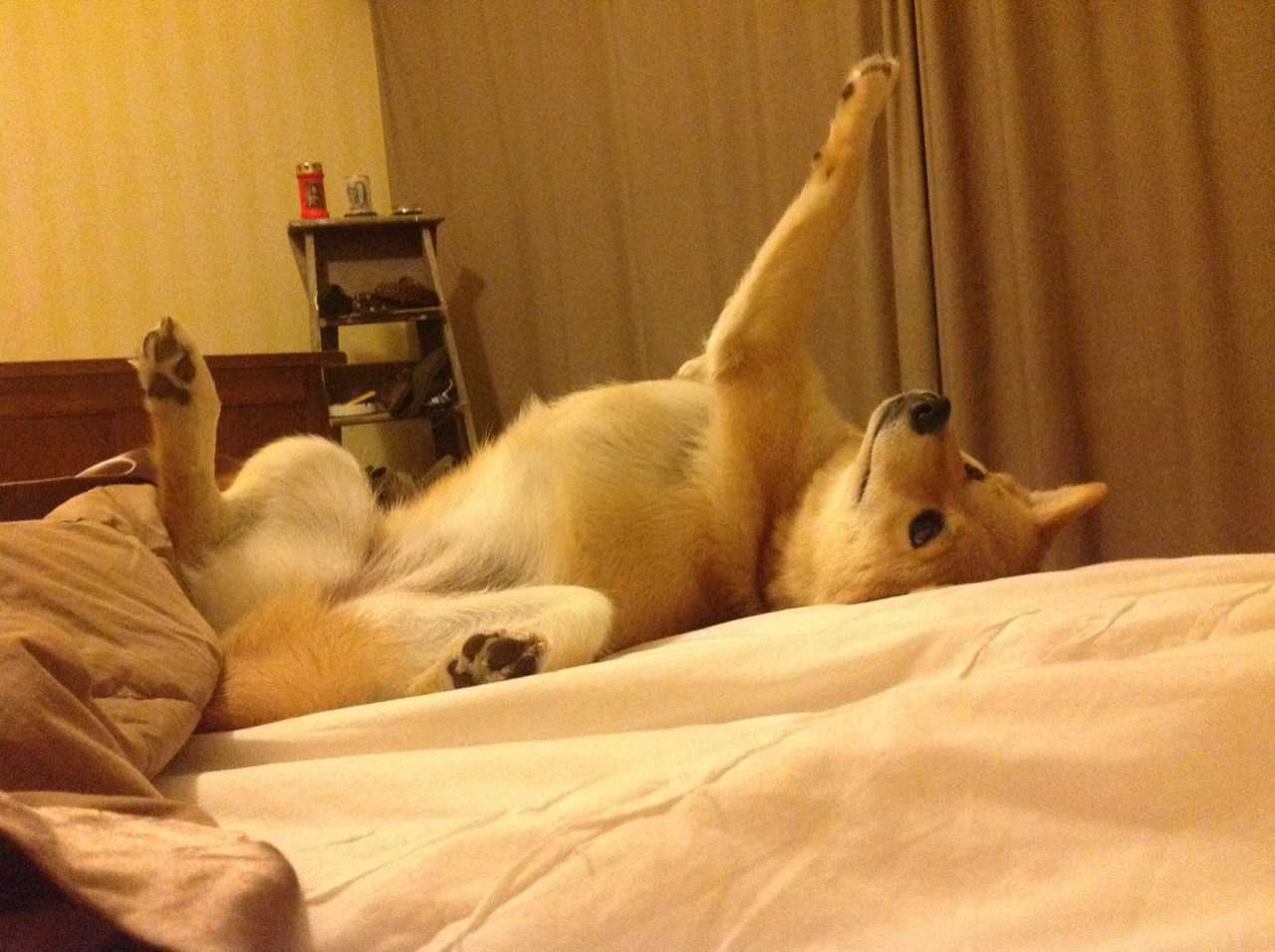 kaiyun官方网站-电竞产业与金融产业的合作:投资、理财与消费信贷,电竞行业与经济