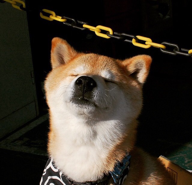 Kaiyun官方登录入口-粉丝创意：自制赛车模型火爆网络，自制赛车造型