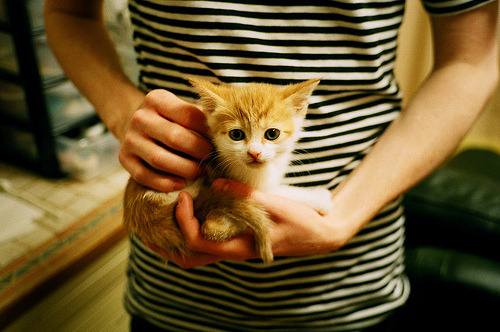 kaiyun官方入口登录-篮球训练设备智能化管理系统上线，篮球系统训练app