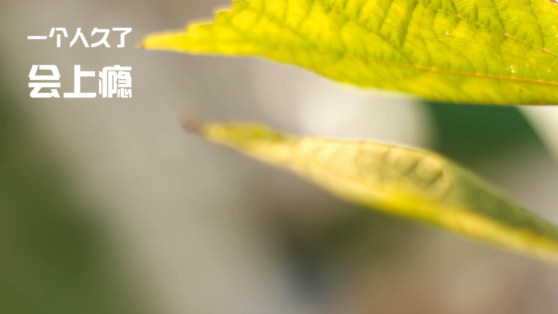 开云体育-青少年极限运动节，释放青春的无限可能，中国极限运动协会青少年训练营