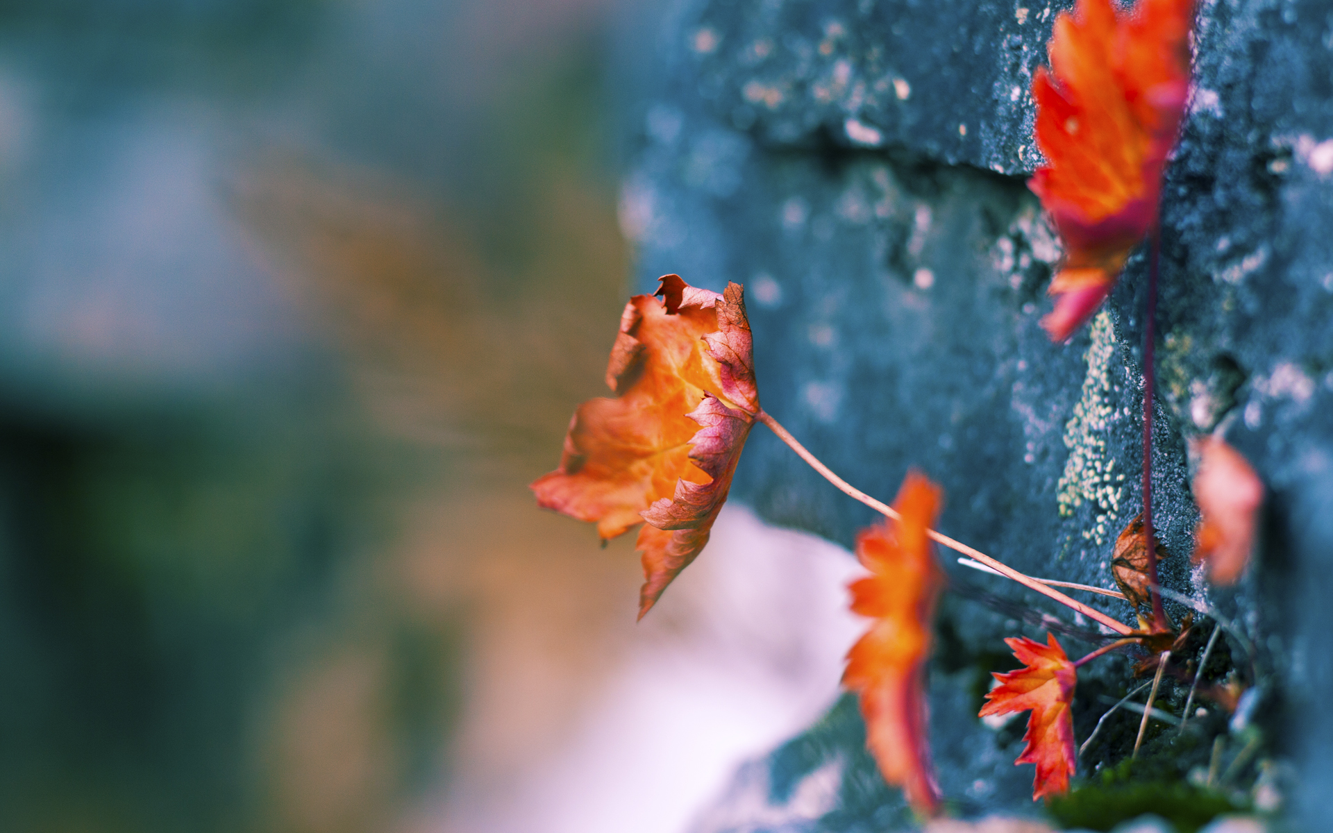 开云官方网页登录-意甲球队公布了新的主场比赛球衣设计，2022赛季意甲球衣