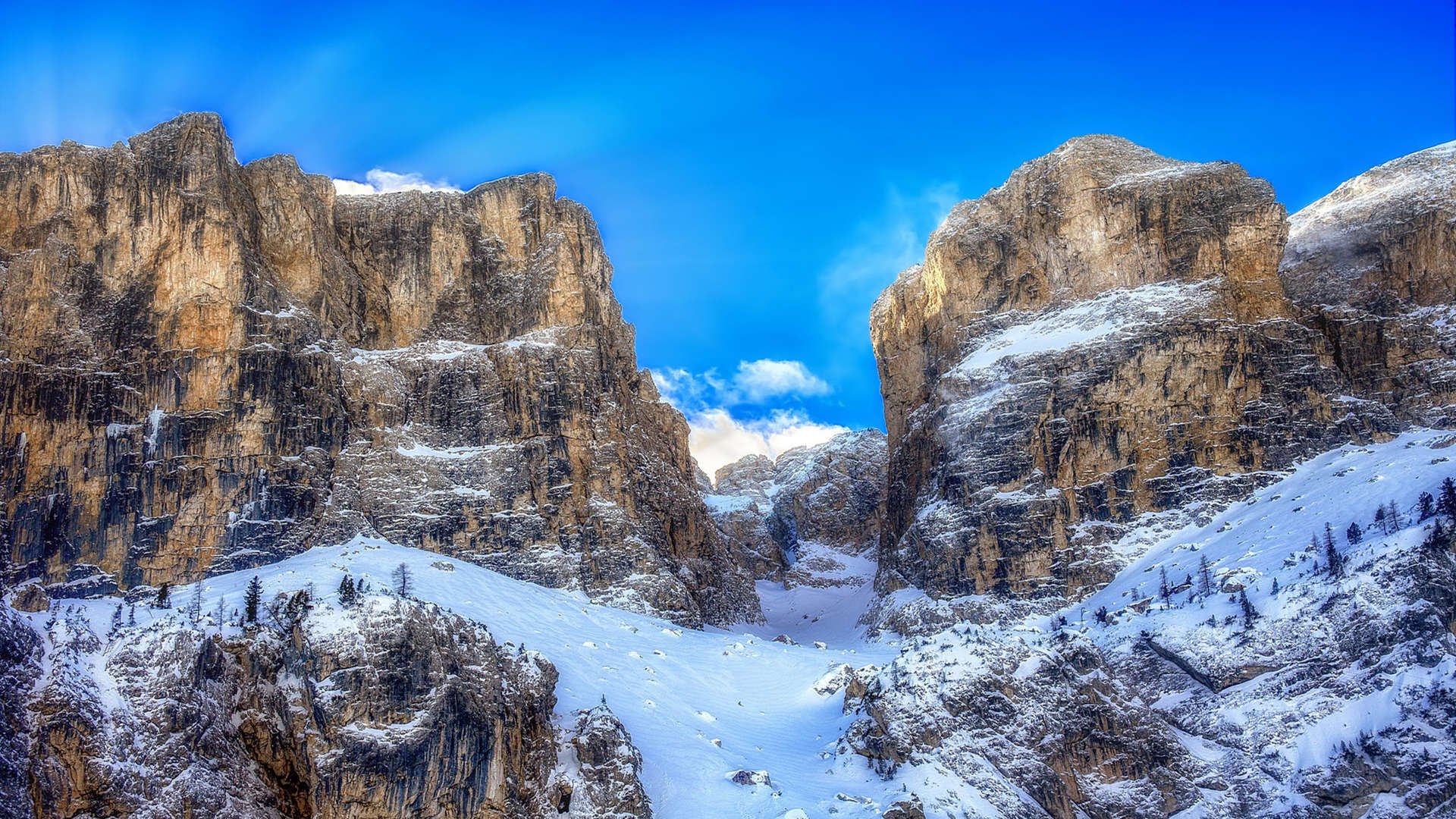 开云网页版-日本队计划引进海外高水平教练团队,日本队伍教练