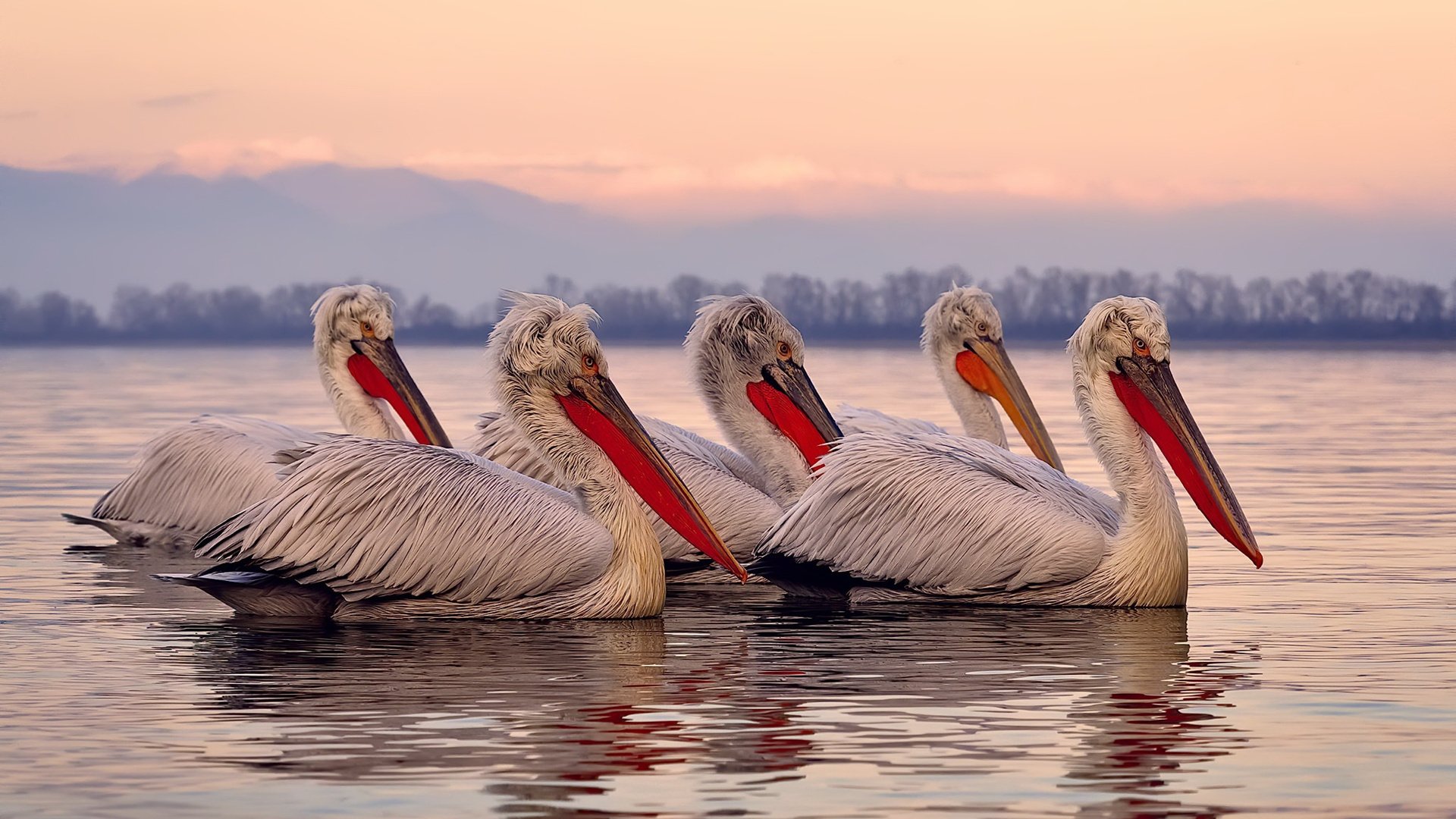 开云网页版登录入口-曼城后防强化 反击战术更臻完善，曼城后防线