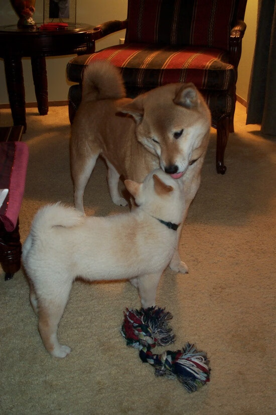 Kaiyun官方登录入口-是否应推动球员设立科技助学奖励基金