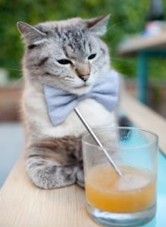 kaiyun体育app-是否应推动球队历史人物入驻名人广场,球员进入名人堂代表什么