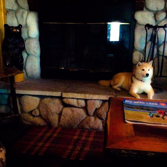 开云入口-海耶斯：年轻球员为美国女足注入新活力，海耶斯nba