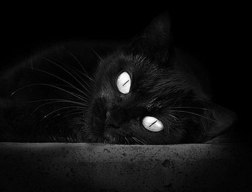 开云网页版登录入口-瓦朗谢纳客场不敌图卢兹,遭遇挑战,瓦朗谢纳vs奎维利比赛结果