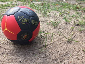 KAIYUNAPP-英超球队基于运动表现数据调整赛中体能分配策略，英超球队规则