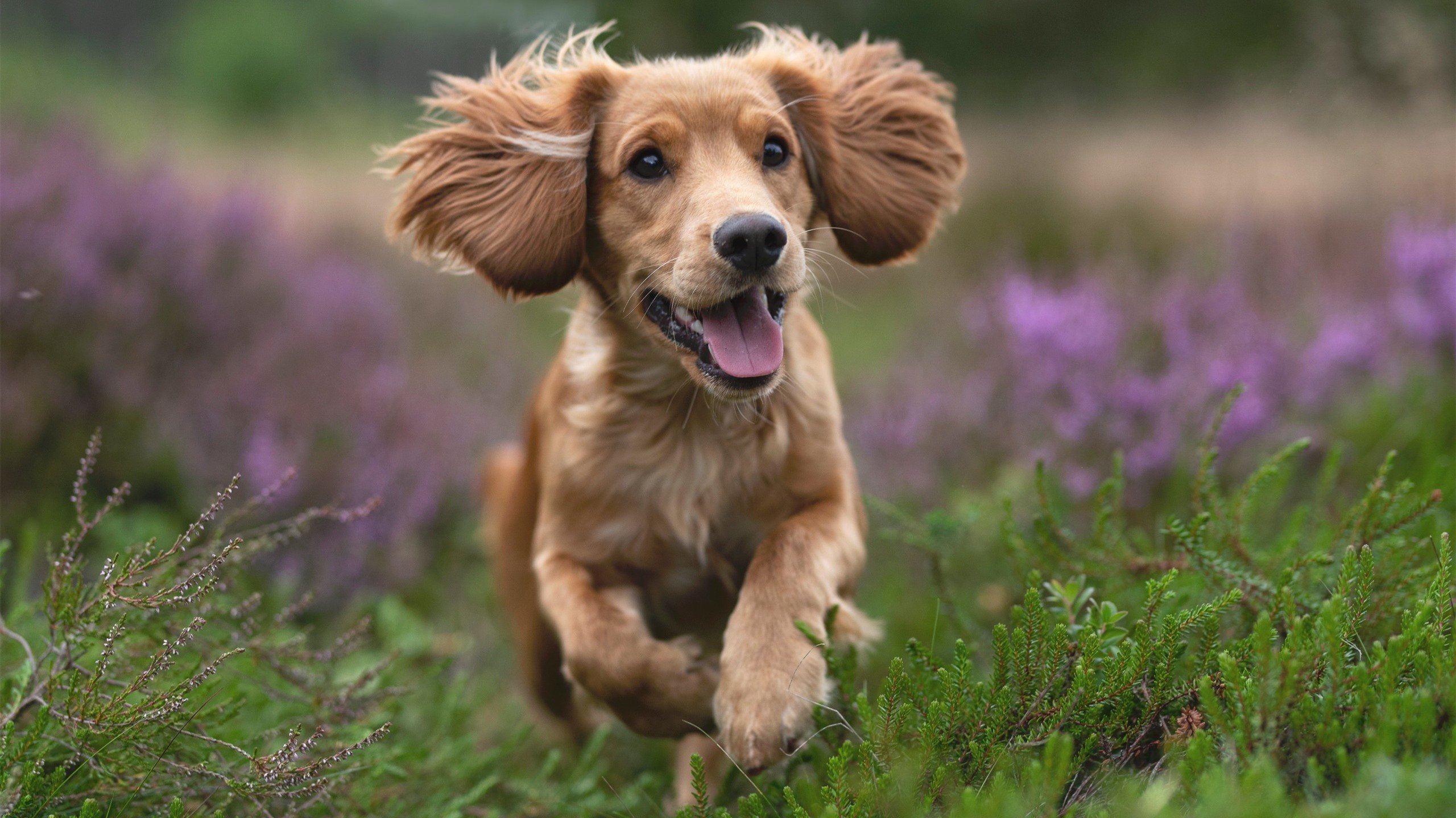 开云·Kaiyun网页版-快速转移球如何制造外线空位机会