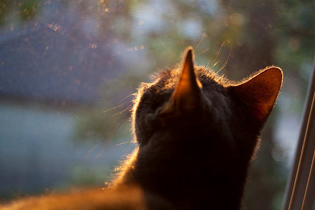 开云kaiyun-新赛季球衣风格引入传统图腾元素，22-23赛季球衣