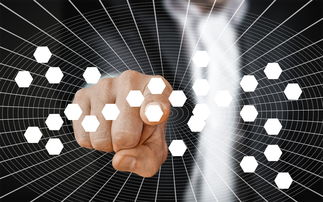 开云官方网页登录-蛙泳技术结构分析:谁更高效?,蛙泳的基本技术有哪些