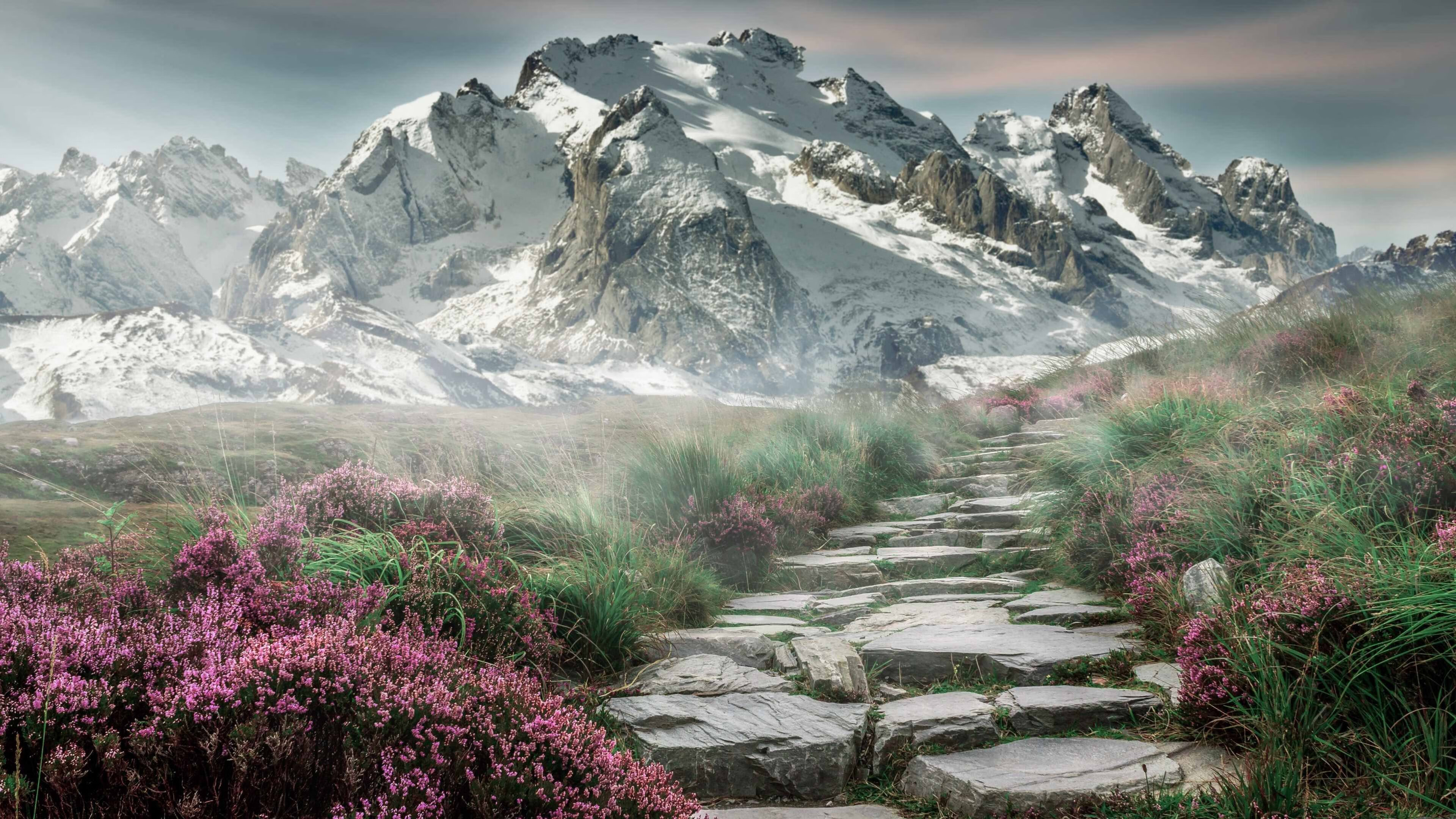 kaiyun中国官方网站-青训教练对战术理解的深度是否影响球员培养，青训队员什么意思