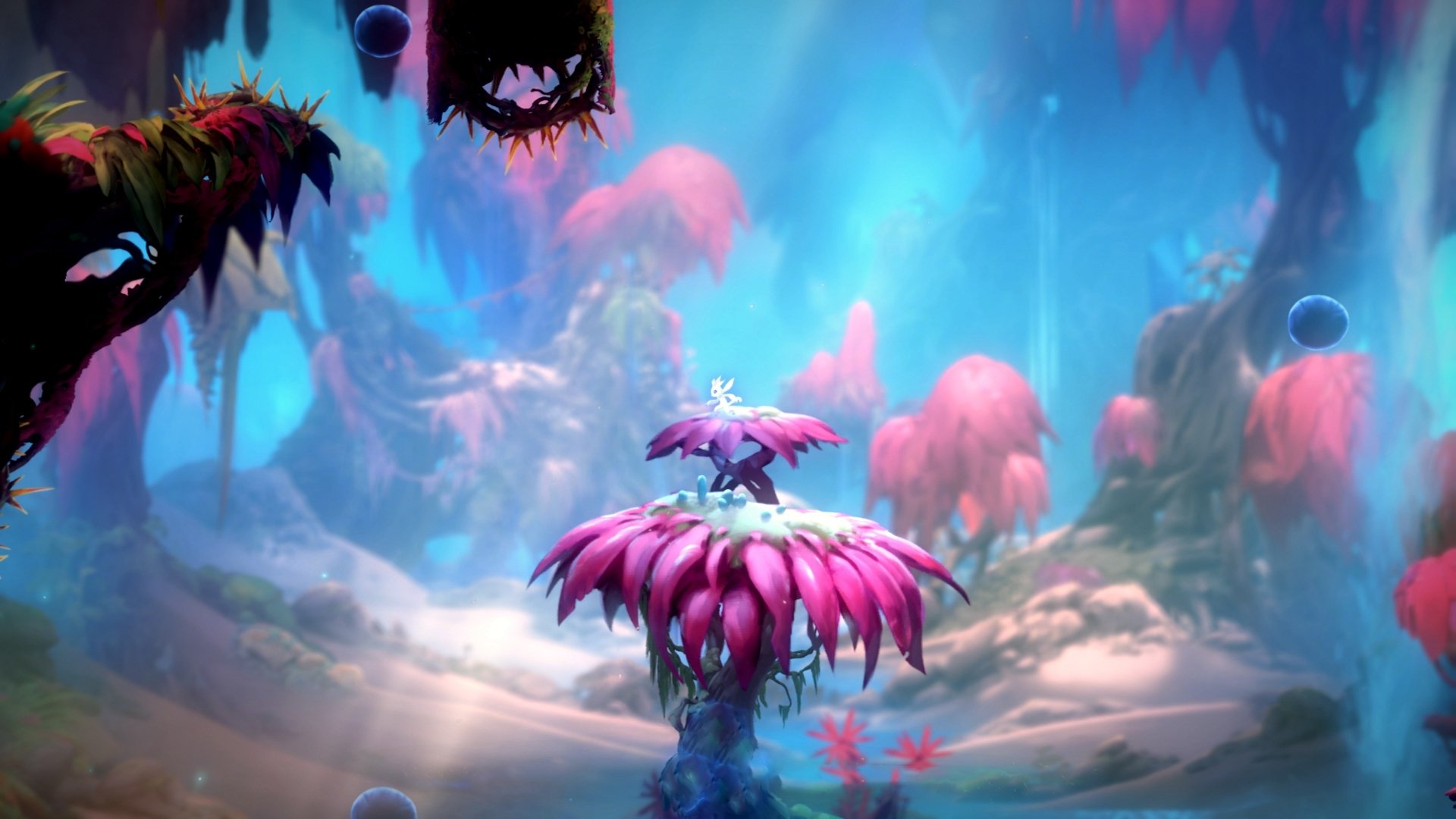 开云·体育官网APP下载-青少年运动技能挑战榜上线受热烈欢迎,中国青少年运动技能大赛