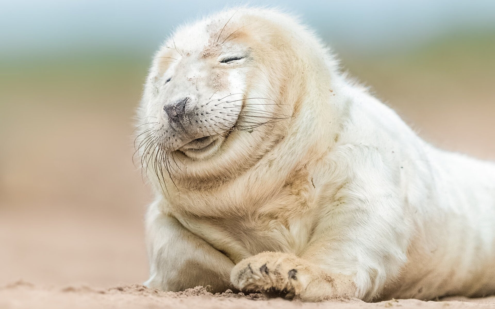 开云入口-球迷组织举办观赛交流活动打造社区式观赛新体验，观看球赛心得