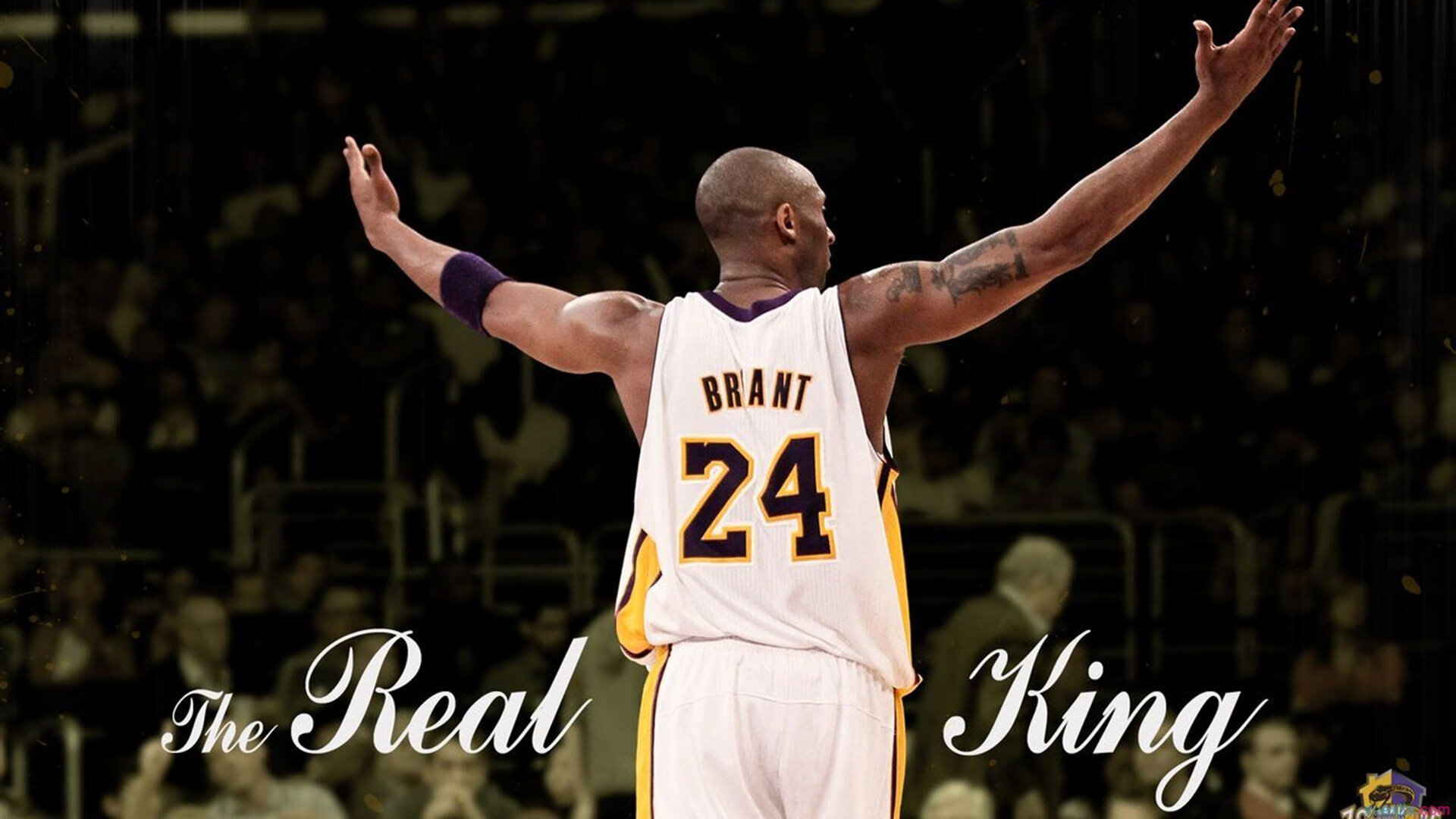 开云中国大陆-季末总结：联盟中那些令人惊喜的崛起新秀，新联盟崛起阵容推荐